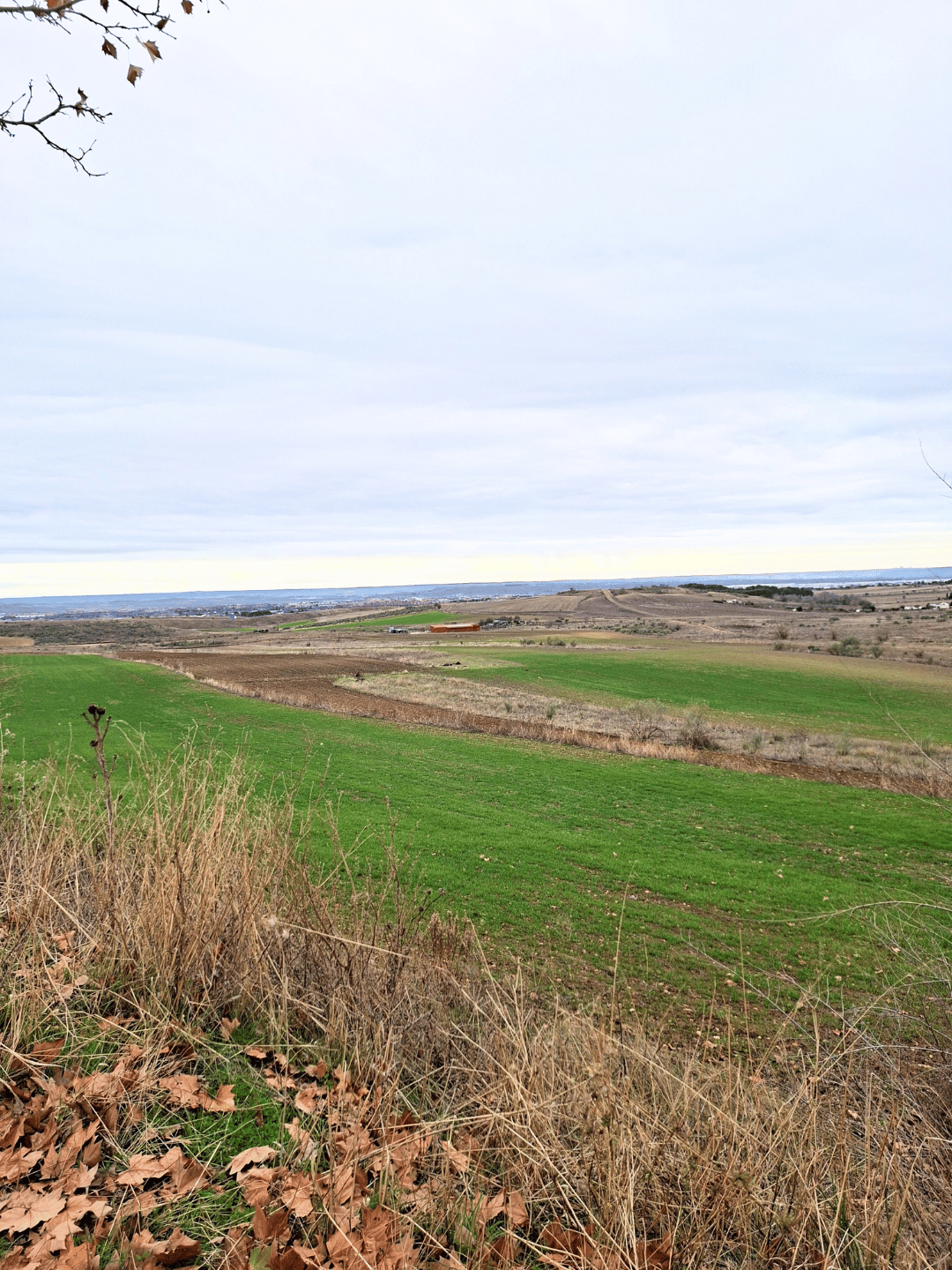 terreno paracuellos del jarama los charcos suelo rústico agrario 2