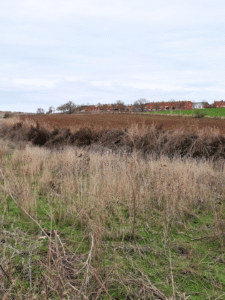 terreno paracuellos del jarama los charcos suelo rústico agrario 3