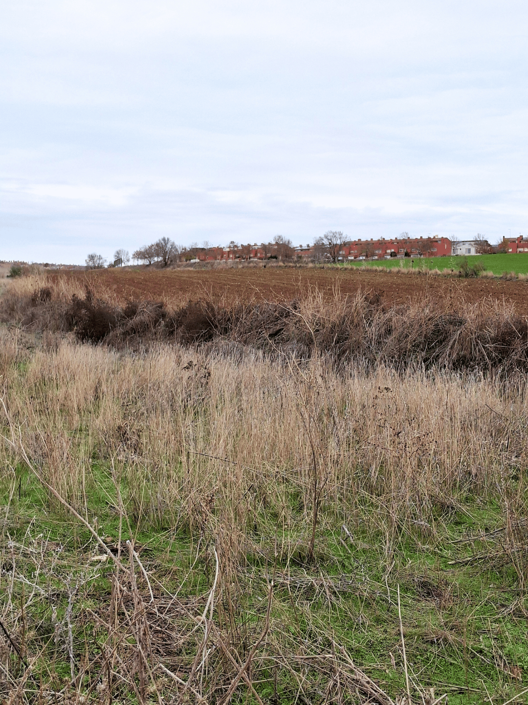terreno paracuellos del jarama los charcos suelo rústico agrario 3